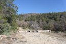 de Super Grasse au GR 51